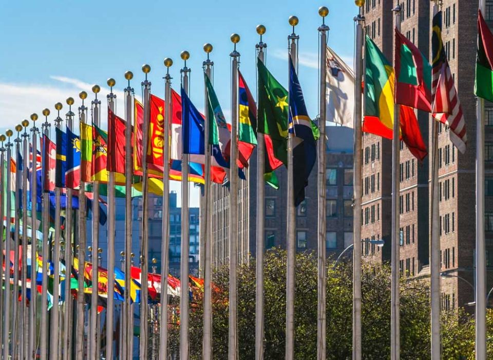 U.N. Flags